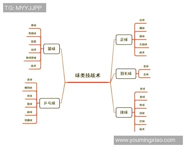上海排球队的战术解析与运营体系研究探讨